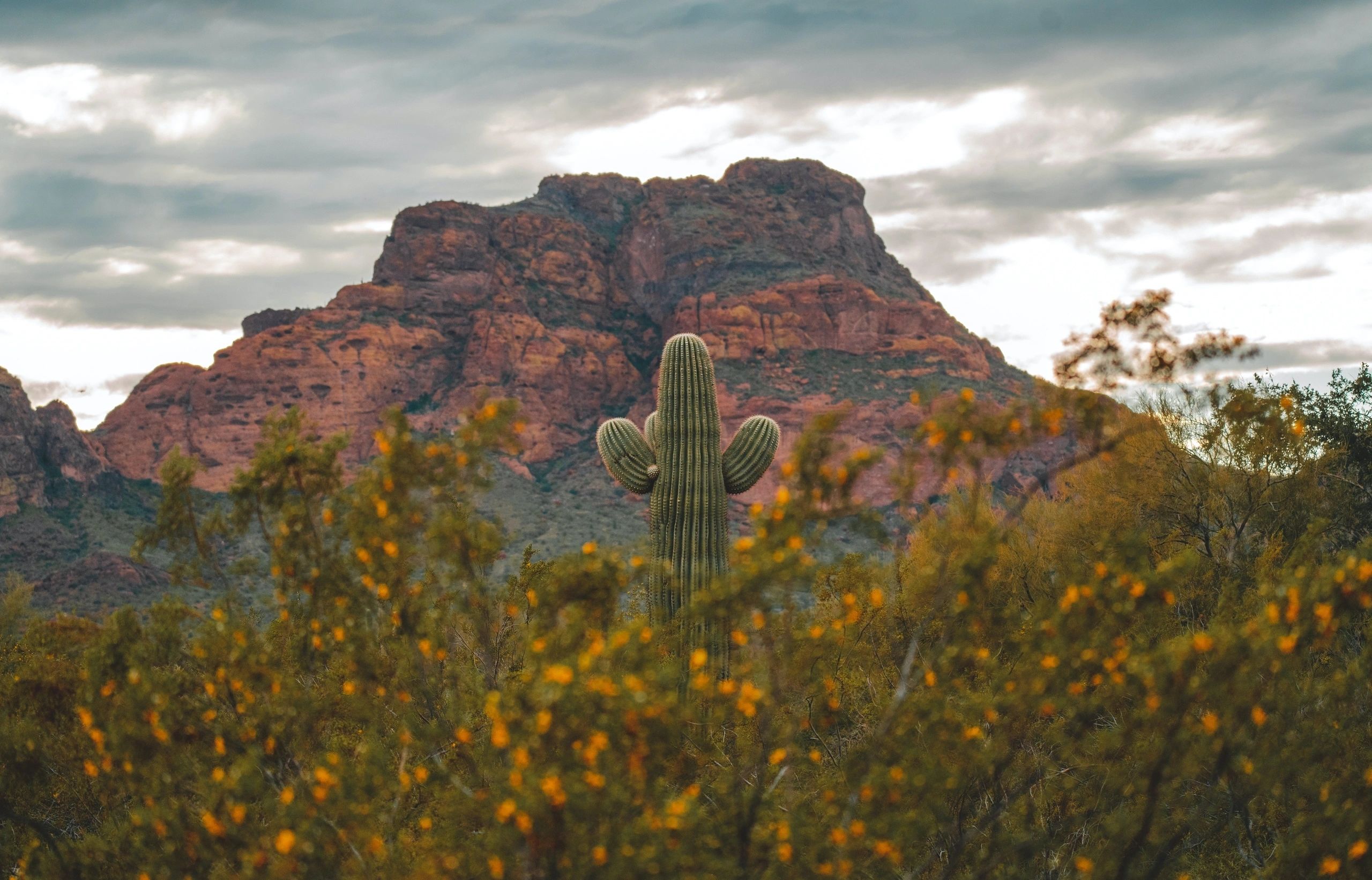 Find Best Contractors Insurance in Arizona - Insurance Ruff LLC