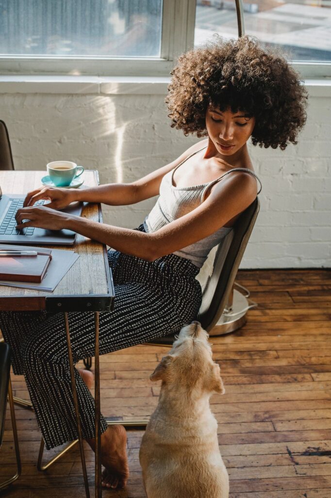 How to Save Money on Insurance in Arizona - Insurance Ruff LLC
