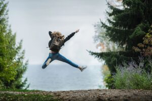 How to Shop Insurance Hassle Free - Insurance Ruff LLC